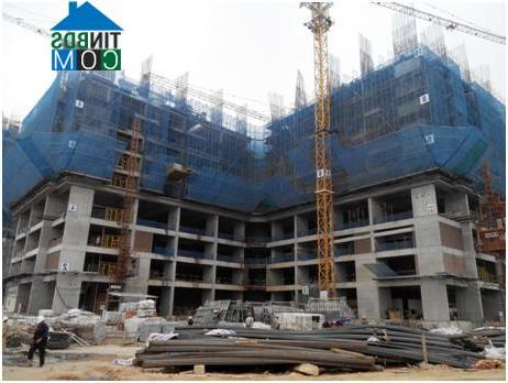 Ảnh Đột nhập tổ hợp căn hộ "tai tiếng" của chủ đầu tư Việt Hân