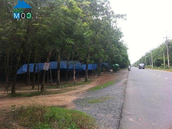 Con đường dẫn vào trung tâm TP mới Nhơn Trạch hiện vẫn bạt ngàn cao su xung quanh