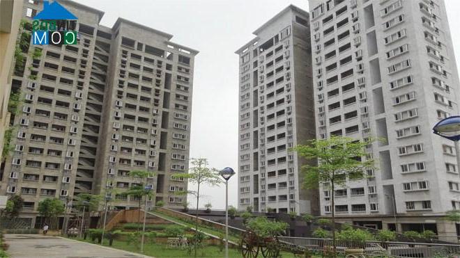 Ảnh Căn hộ giá rẻ: Teo tóp cả chất và lượng