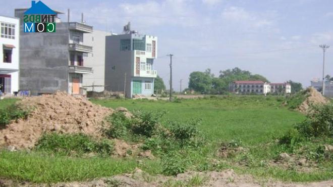 Ảnh Đấu giá khởi điểm hàng loạt khu đất xen kẹt tại Đông Anh