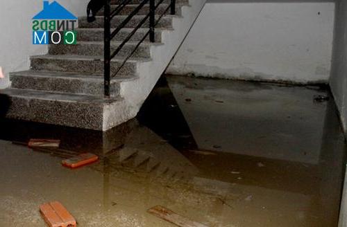 Ảnh Dân phát hoảng với căn hộ cao cấp bị sập trần, rơi tủ bếp