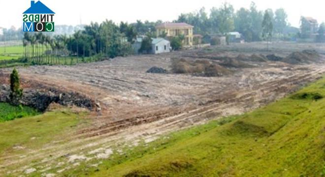 Ảnh Tp.HCM chấp thuận cho bán đấu giá 4 khu đất tại Củ Chi