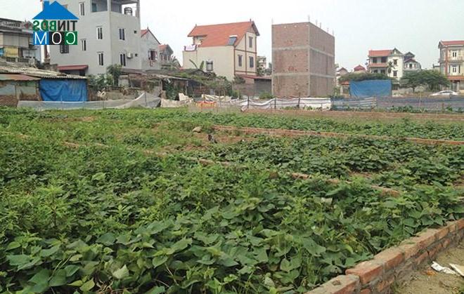 Ảnh Hà Nội công bố phương án đấu giá 252 thửa đất tại 4 quận, huyện