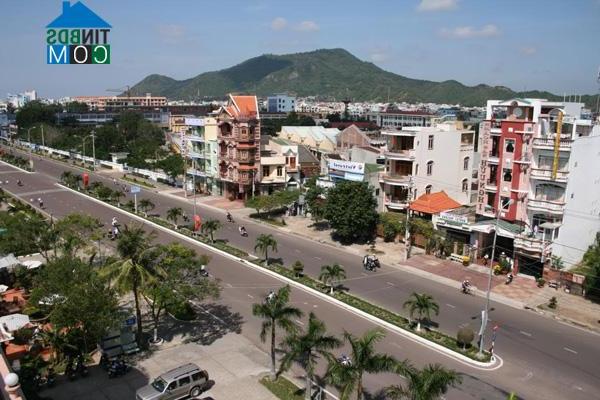 Ảnh Hàng loạt lô đất "vàng" tại Bình Định bị thu hồi