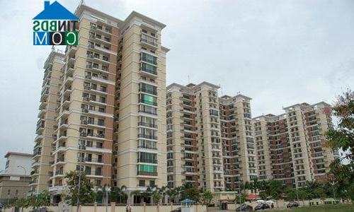 Ảnh Chạy đua ra hàng, gom khách, doanh nghiệp quên...pháp lý?