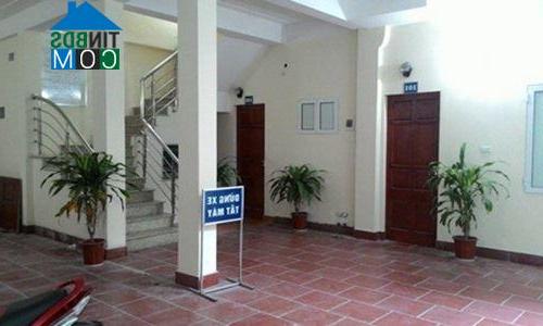 Ảnh Chung cư mini từng bước chuyên nghiệp hóa