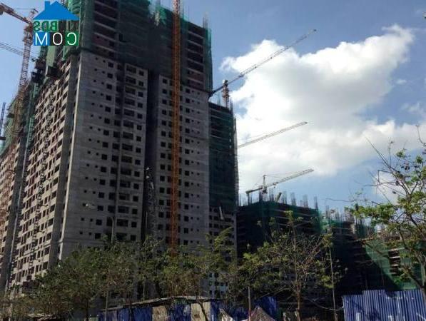Ảnh Môi giới BĐS tung "ma trận" giá, bẫy khách hàng