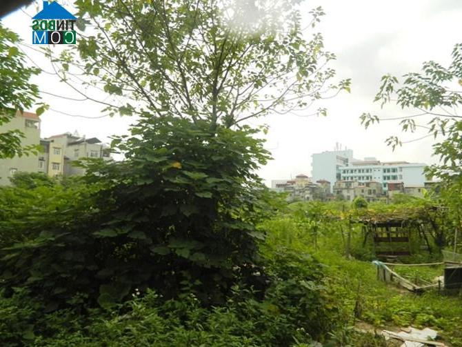 Khu đất triển khai dự án Hesco Văn Quán chỉ có cỏ dại