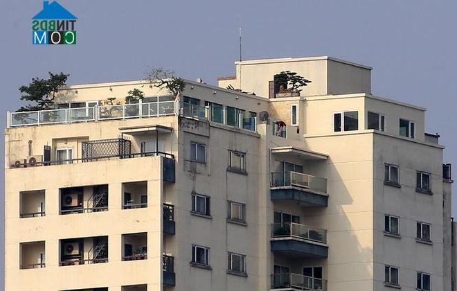 Ảnh Những tòa nhà sai phép từng bị "cắt ngọn"
