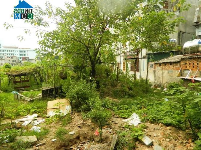 Ảnh Dự án Hesco Văn Quán phủ kín cỏ dại