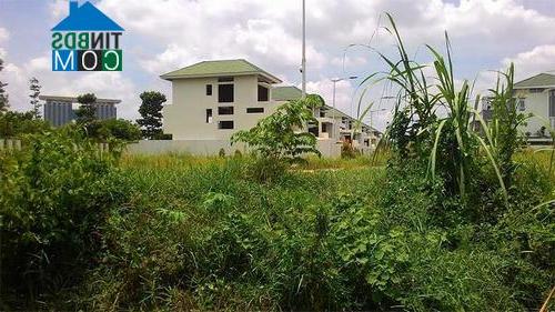 Một khu biệt thự liền kề cao cấp với hàng trăm căn biệt thự đã xây xong phần thô vẫn rất hoang vắng