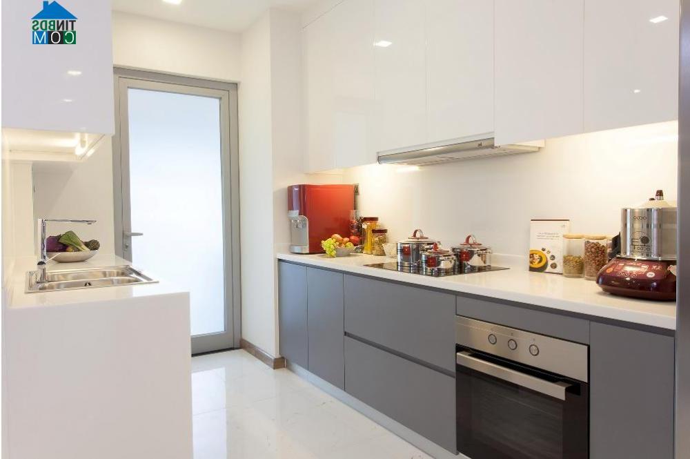 Ảnh Ra mắt nhà mẫu dự án “Thiên đường xanh trong lòng thành phố”