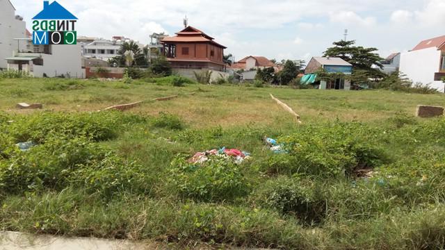 Một khu đất đã được phân lô và chào giá 17 triệu đồng/m2