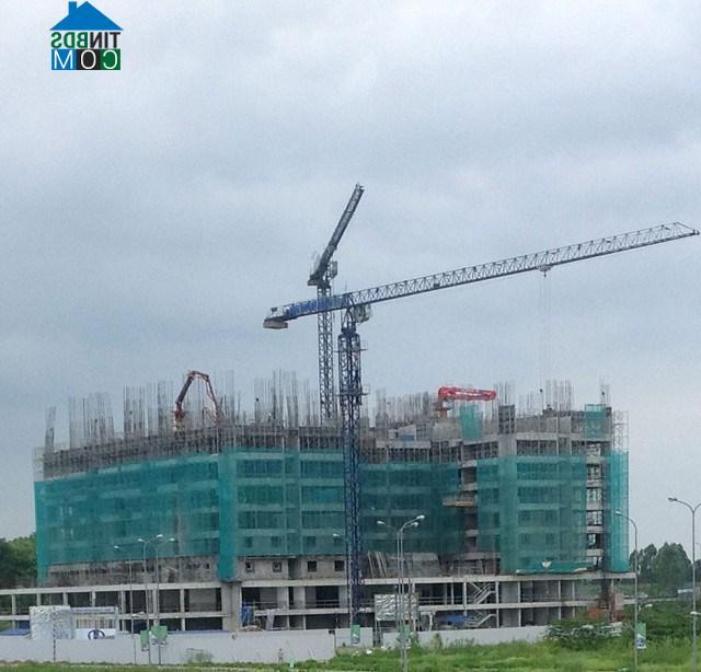 Đến tháng 8 vừa qua, công trình thi công đến tầng 13
