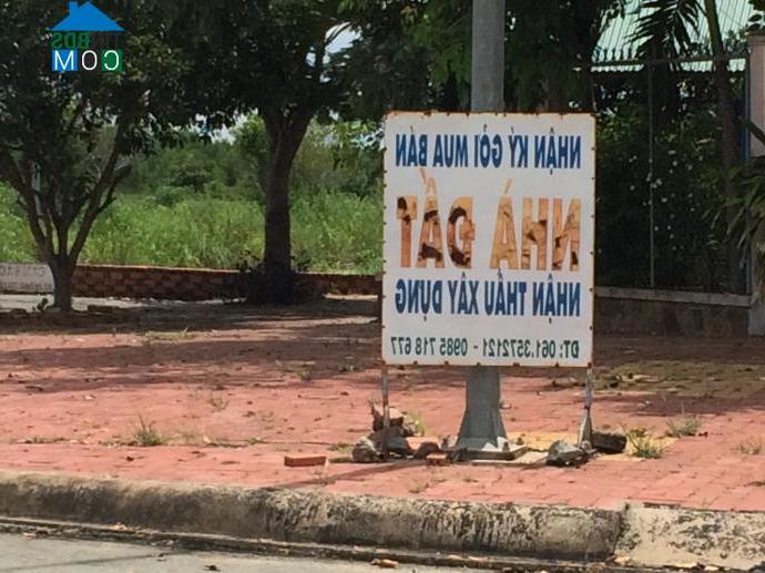 Ảnh Biệt thự tiền tỷ hoang tàn trong khu đô thị mới Nhơn Trạch, Đồng Nai
