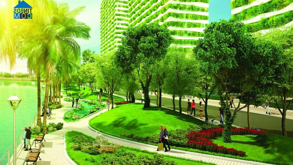 Ảnh Tiềm năng phát triển của Quận 8 – cửa ngõ trung tâm Tp.HCM