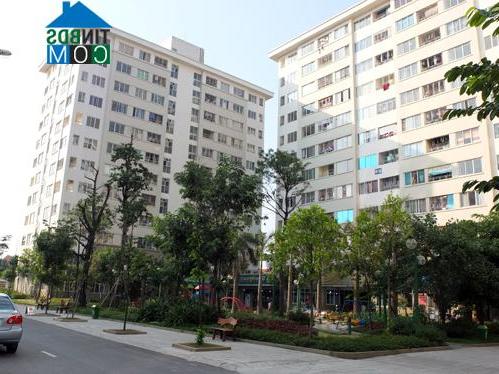Ảnh Người thu nhập thấp tiết kiệm 25 năm mới mua được nhà giá rẻ