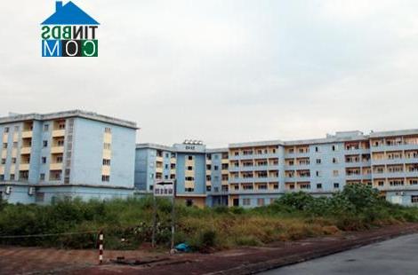Hiện chỉ có một phần rất nhỏ người thu nhập thấp tại đô thị và các khu công nghiệp có chỗ ở ổn định