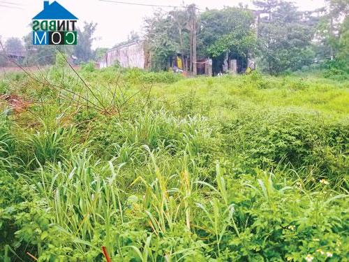 Một dự án treo tại phường Tân Hưng Thuận, <a href=