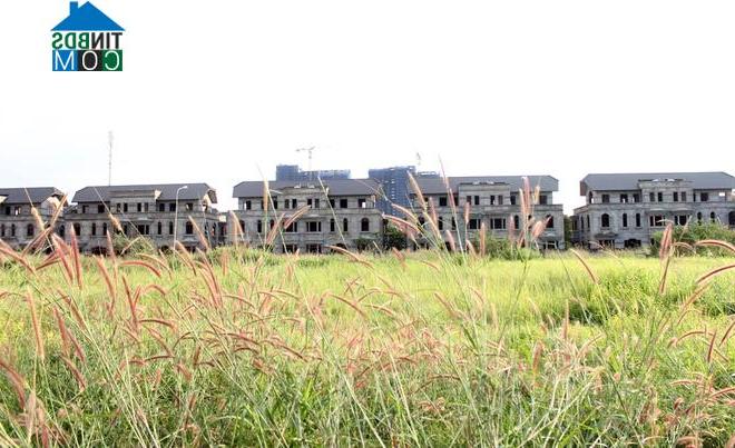 Ảnh Sài Gòn vẫn còn đó hàng trăm biệt thự bỏ hoang