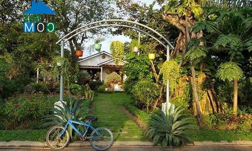 Ảnh Xuất hiện kiểu bán nhà kèm nông trại mini