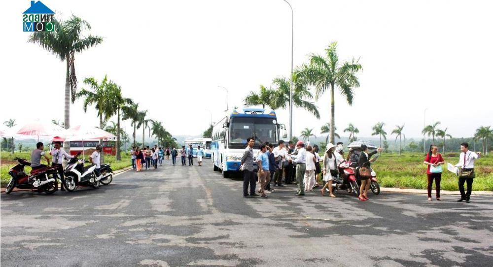 Ảnh LDG Group mở bán nhiều sản phẩm đặc biệt của The Viva city ngày 18/10/2015