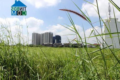 Dự án 142 ha Thạch Mỹ Lợi, quận 2 sau khi hoàn thiện một số tòa nhà đã có nhiều cư dân đến ở. Ảnh: Mạnh Cường