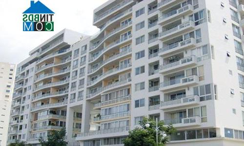 Ảnh Nhiều kiểu 'ăn theo' sau sự cố chung cư