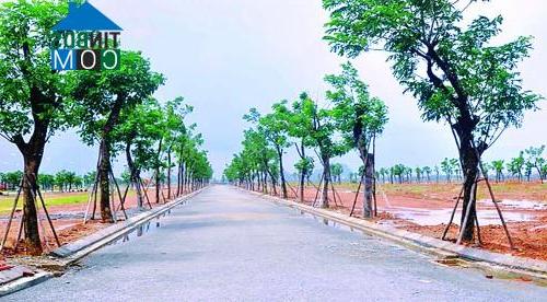 Ảnh Giá đất tại Đà Nẵng tăng vọt
