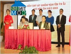 Ảnh Ra mắt khu biệt lập đẳng cấp tại Quận 8 – Dream Home Place