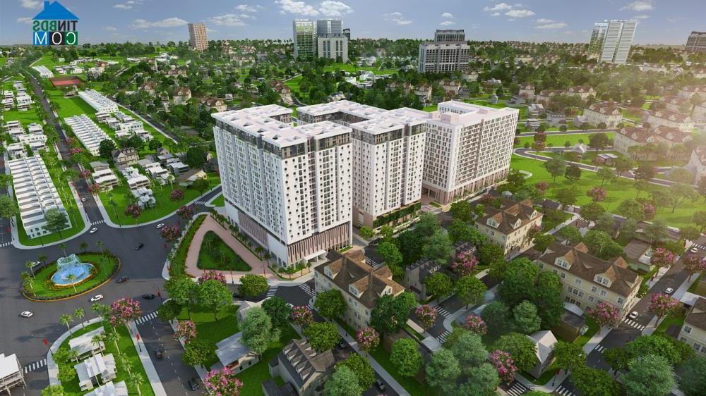 Ảnh First Home Premium thu hút người mua