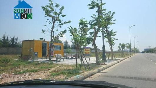 Ảnh Khách hàng Trung Quốc “thổi giá” đất ven biển Đà Nẵng