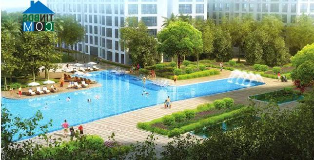 Hơn 90% nền đất Nam Phát trong đợt công bố đầu tiên đã được khách hàng đặt mua sau gần một tháng đưa ra thị trường