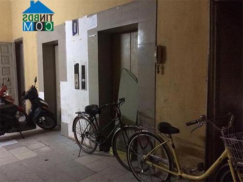 Ảnh Cư dân "còng lưng" chui tầng thượng để đi nhờ thang máy