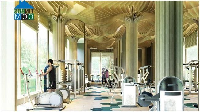 Phòng tập GYM hiện đại