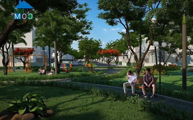 Ảnh Jamona Golden Silk – Dải lụa vàng tuyệt đẹp giữa lòng thành phố