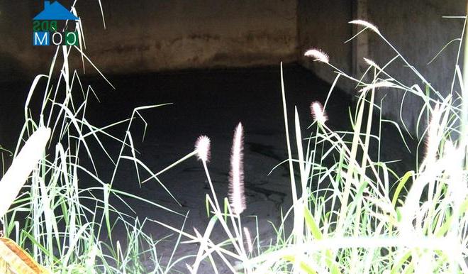 Ảnh Sài Gòn vẫn còn đó hàng trăm biệt thự bỏ hoang