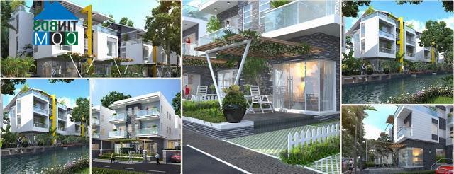 Ảnh Jamona Golden Silk – Dải lụa vàng tuyệt đẹp giữa lòng thành phố