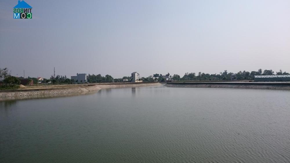 Ảnh Khu phố College Town: Sinh lợi nhuận cao chỉ với 400 triệu