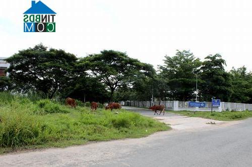 Ảnh Khu Đông Tp.HCM: Nhiều dự án bất động sản vẫn bỏ hoang