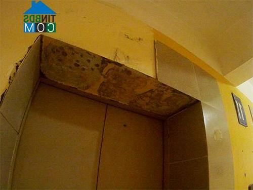 Ảnh Cư dân "còng lưng" chui tầng thượng để đi nhờ thang máy