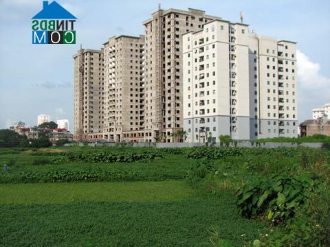 Ảnh Thị trường BĐS tràn ngập quảng cáo sai sự thật