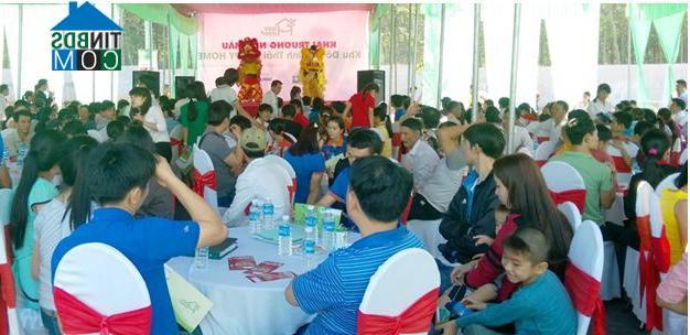 Ảnh Bình Dương: Nhà giá rẻ vẫn sống khỏe