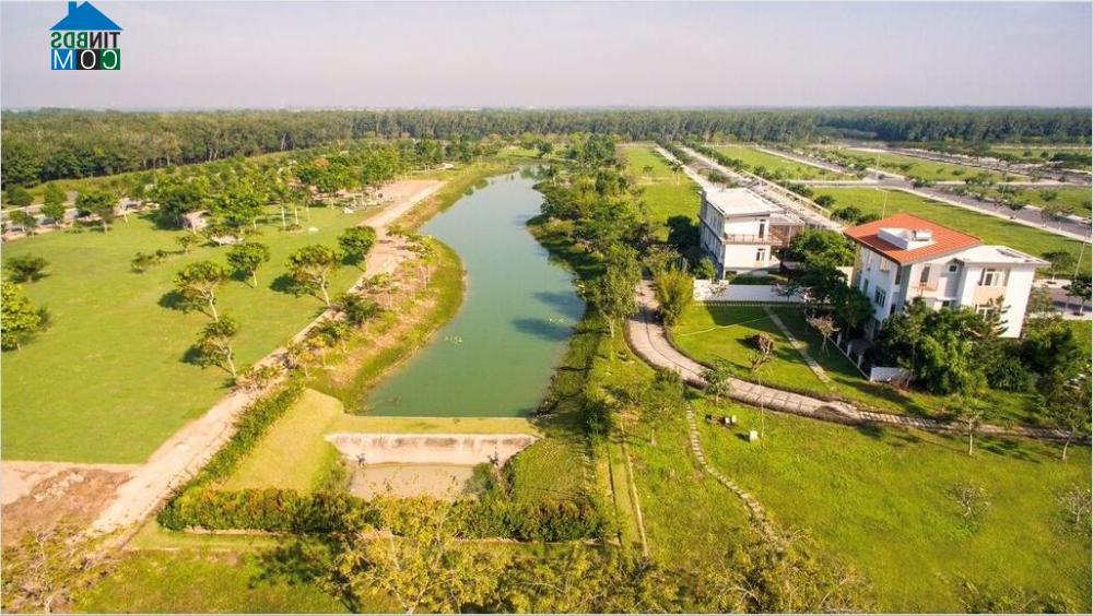 Ảnh Đông Saigon: Khúc hòa ca của thiên nhiên