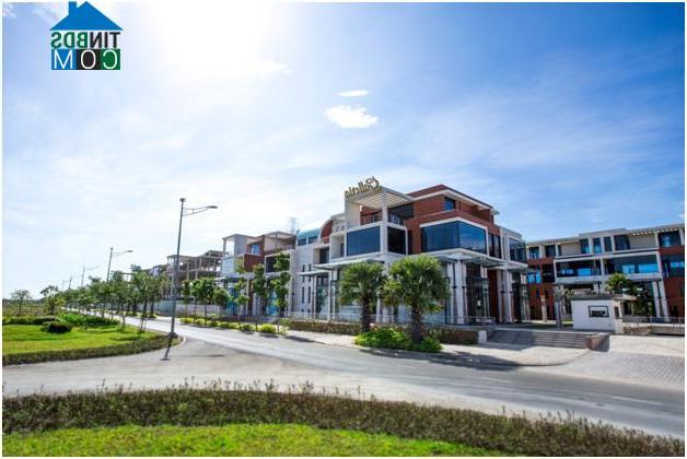 Ảnh Xu hướng mới, nhiều doanh nghiệp “mua đứt” văn phòng làm việc