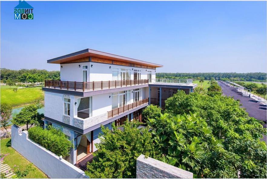 Ảnh Đông Saigon: Khúc hòa ca của thiên nhiên
