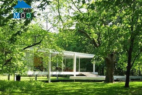 Ngôi nhà kính Farnsworth House nằm dọc theo sông Fox gần thành phố Plano