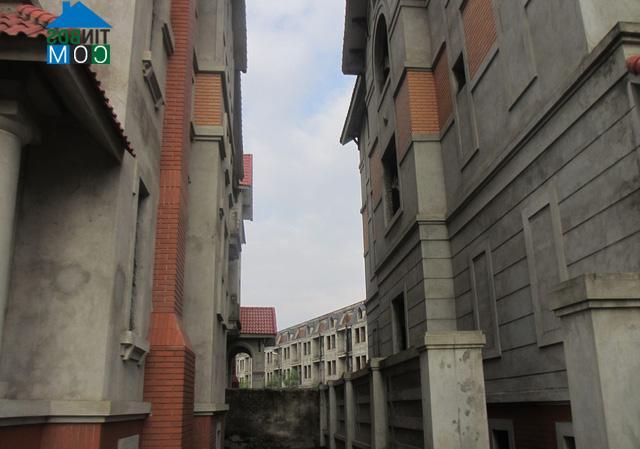 Nhiều biệt thự hoành tráng đã xong phần thô và bị bỏ hoang từ khá lâu