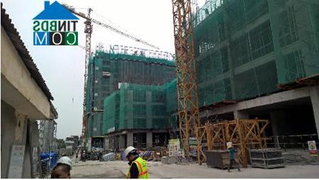 Ảnh Căn hộ hướng sân vườn tại Five Star Garden - Hàng hiếm khó tìm