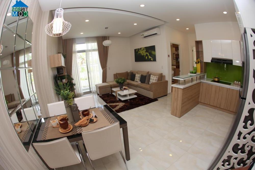 Ảnh Ánh Viên bất ngờ ghé thăm căn hộ được tặng